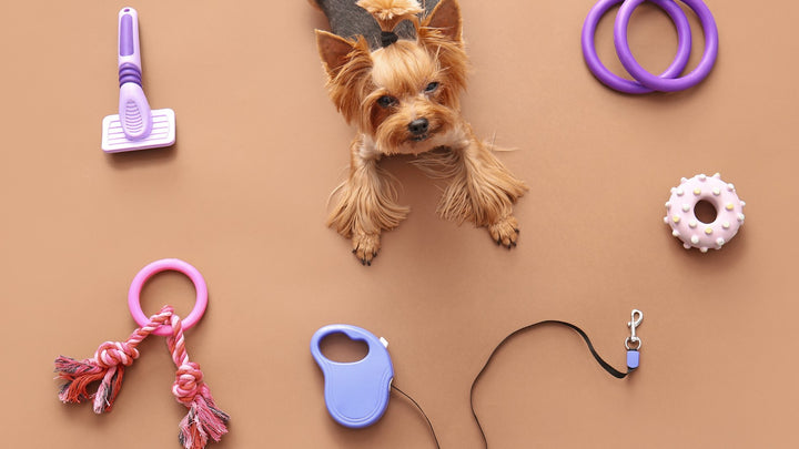 The Best Pet Products for Keeping Your Furry Friend Happy